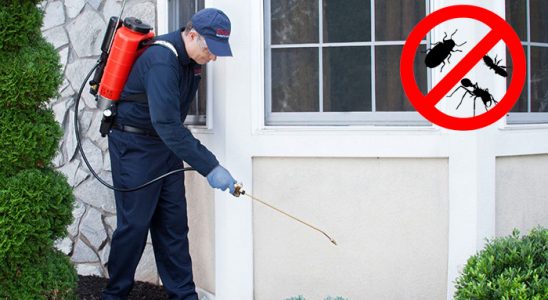 Erdek Gümüşkurt İlaçlama böcek ilaçlama ve haşere kontrolü — ilaclama-tr.com